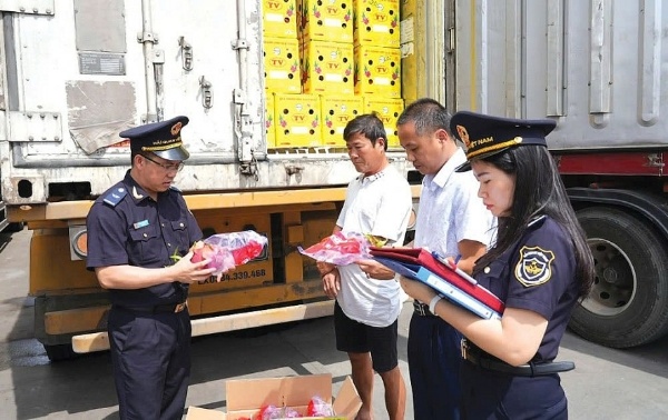 Giải Pháp Cho Thuê Nhân Sự Xuất Nhập Khẩu Chuyên Nghiệp