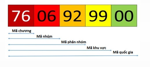 Những Lỗi HS Code Khiến Doanh Nghiệp Bị Truy Thu Thuế