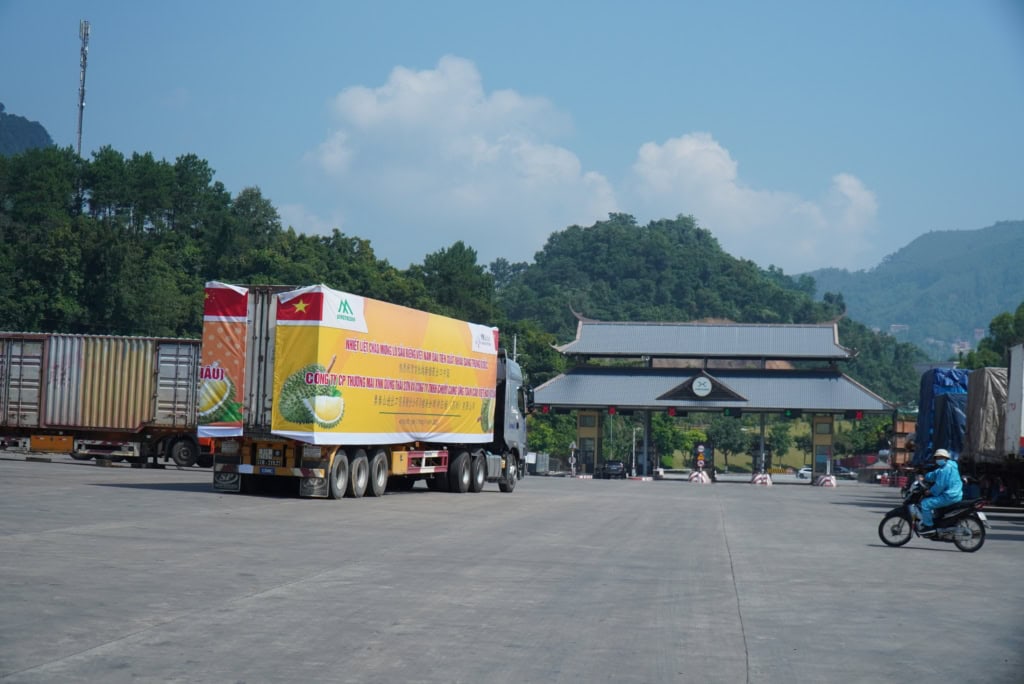 sầu riêng xuất khẩu chính ngạch đi Trung Quốc