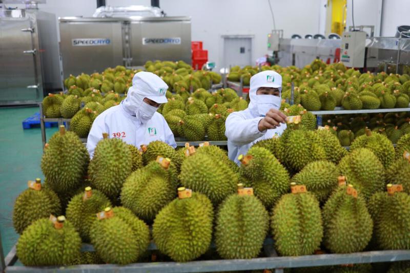 xin cấp mã số vùng trồng