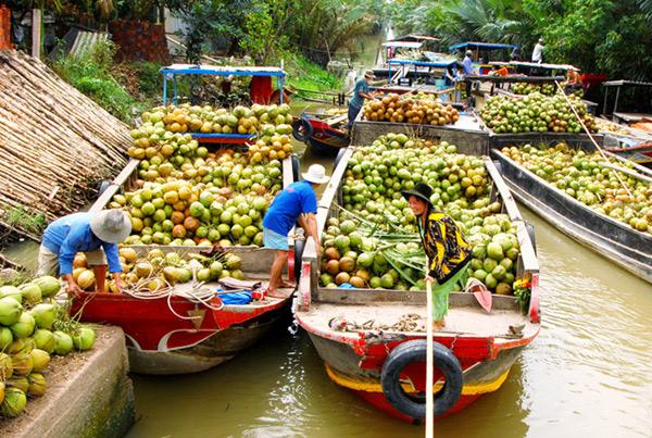 dừa xuất khẩu đi Mỹ