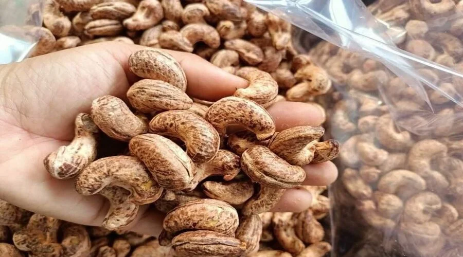 xuất khẩu hạt điều (1)