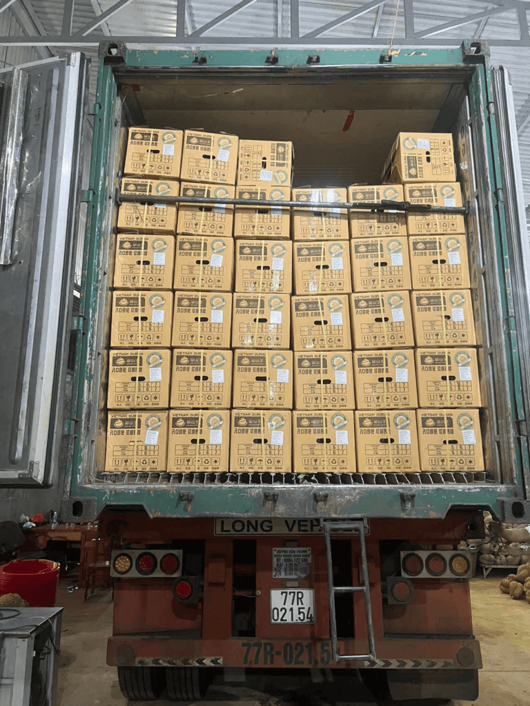 sầu riêng xuất khẩu chính ngạch đi Trung Quốc (1)