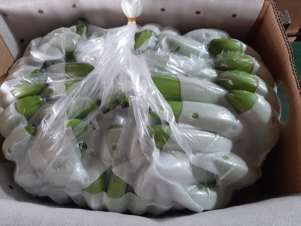 bảo quản chuối xuất khẩu đi trung quốc