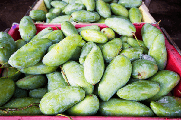 Đầu Tiên Chúng Ta Nói Đến Vấn Đề Đóng Gói Và Dán Nhãn