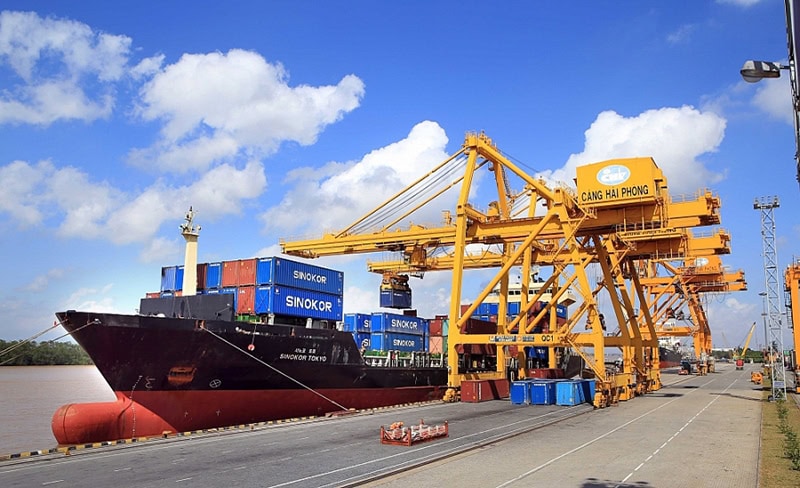 Dịch Vụ Xuất Nhập Khẩu Trọn Gói Của Embassy Freight Services (VN) Bao Gồm