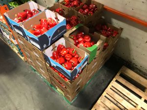 kiểm dịch thực vật xuât khẩu là gì