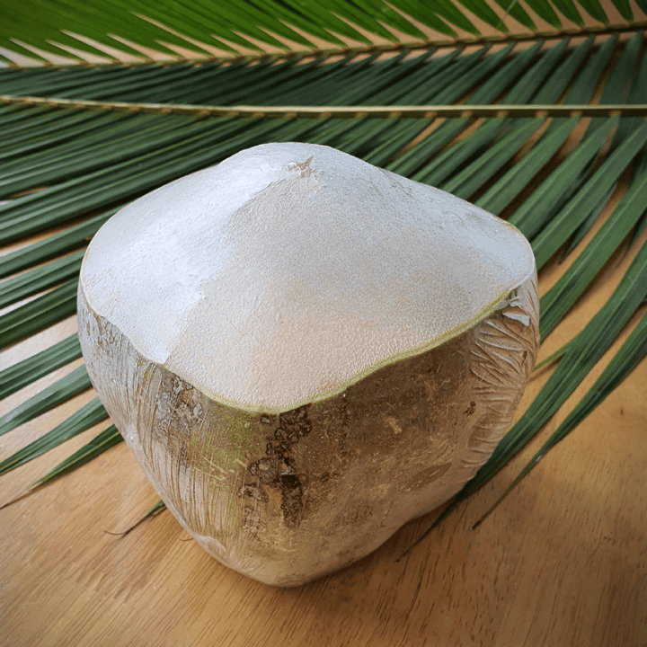 xuất khẩu dừa tươi (4)