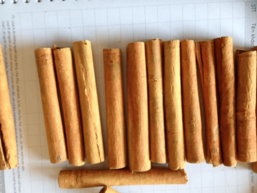 xuất khẩu quế tươi