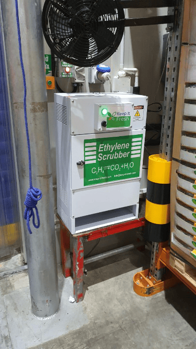 máy hút ethylene bảo quản trái cây trong kho lạnh (2)