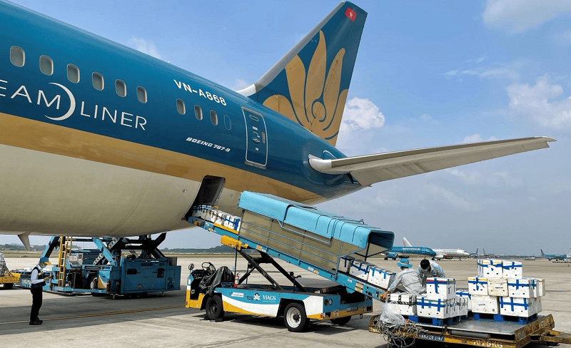 vận chuyển hàng từ mỹ về việt nam (1)