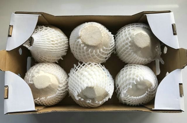 xuất khẩu dừa tươi (2)
