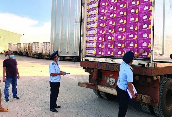 Dịch vụ outsourcing nhân viên xuất nhập khẩu cho doanh nghiệp