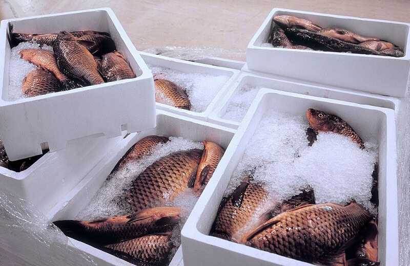 thu-tuc-nhap-khau-thuy-san-dong-lanh (6)