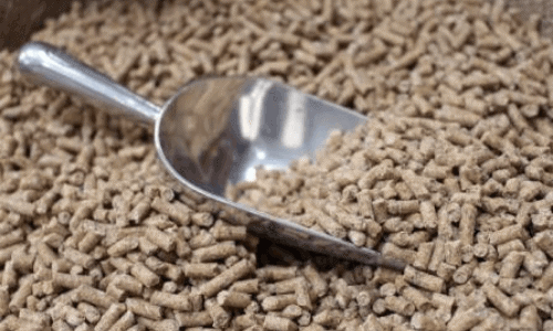thủ tục nhập khẩu thức ăn chăn nuôi để sản xuất kinh doanh