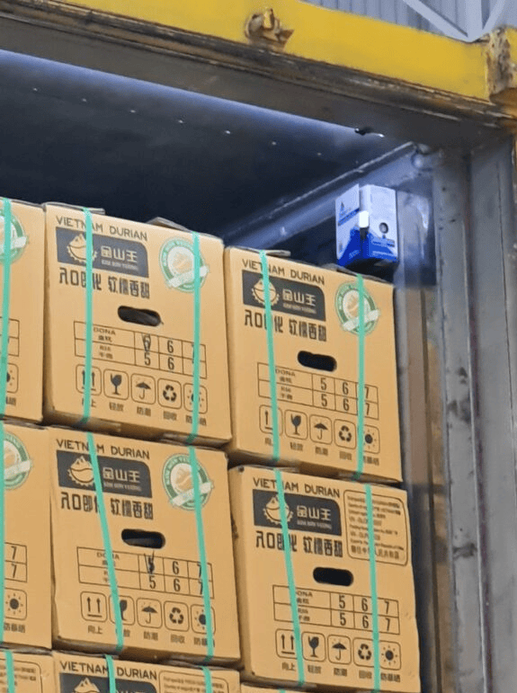 Loi-Ich-Khi-Su-Dung-Dich-Vu-Xuat-Khau-Sau-Rieng-Chinh-Ngach-Di-Trung-Quoc-Cua-Embassy-Freight-Services-VN-576x1024 (1) 2022-11-07 16-08-30