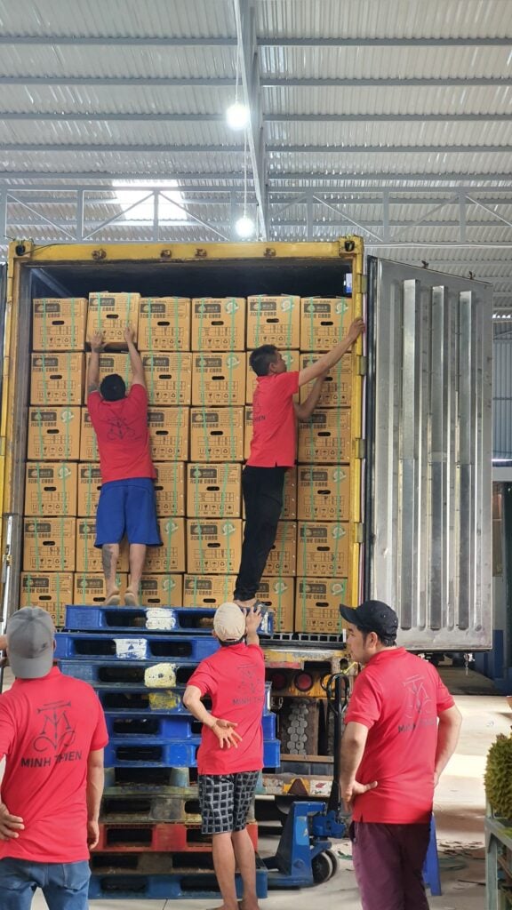 sầu riêng chính ngạch đầu tiên đi Trung Quốc
