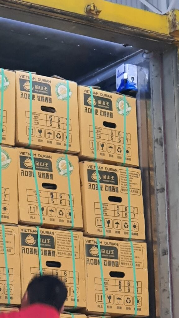 Lợi Ích Khi Sử Dụng Dịch Vụ Xuất Khẩu Sầu Riêng Chính Ngạch Sang Trung Quốc Của Embassy Freight Services (VN)
